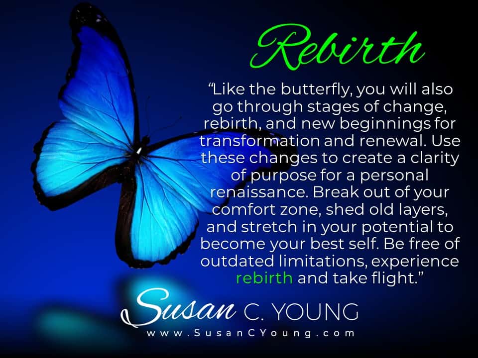 Enjoy Rebirth for Your Own Personal Rensaissance